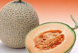 小月亮吃哈密瓜,小月亮的哈密瓜盛宴之旅