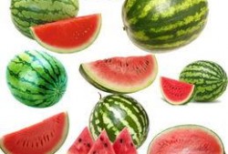 51吃瓜南,揭秘娱乐圈背后的那些事儿