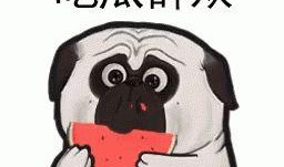 带你吃瓜之图片,带你一图览尽“带你吃瓜”事件全貌