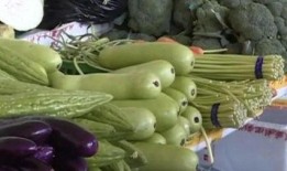 史上最苦吃瓜,挑战味蕾极限的苦味传奇