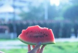 吃瓜世间,揭秘娱乐圈背后的故事与真相