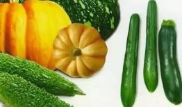 吃瓜反差在线,在线演绎另类喜剧人生